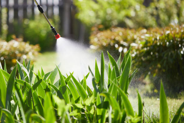 Void Injection for Cockroach Colonies in Bowling Green