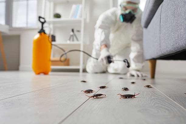 Commercial Kitchen Cockroach Control in Bowling Green